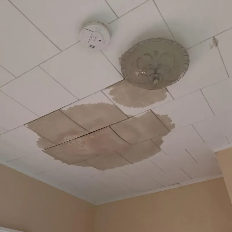Ceiling Water Damage Repair in Madrid, IA