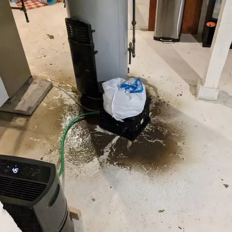 Sewage Backup Cleanup Service in Madrid, IA